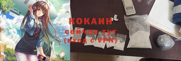 первитин Осинники